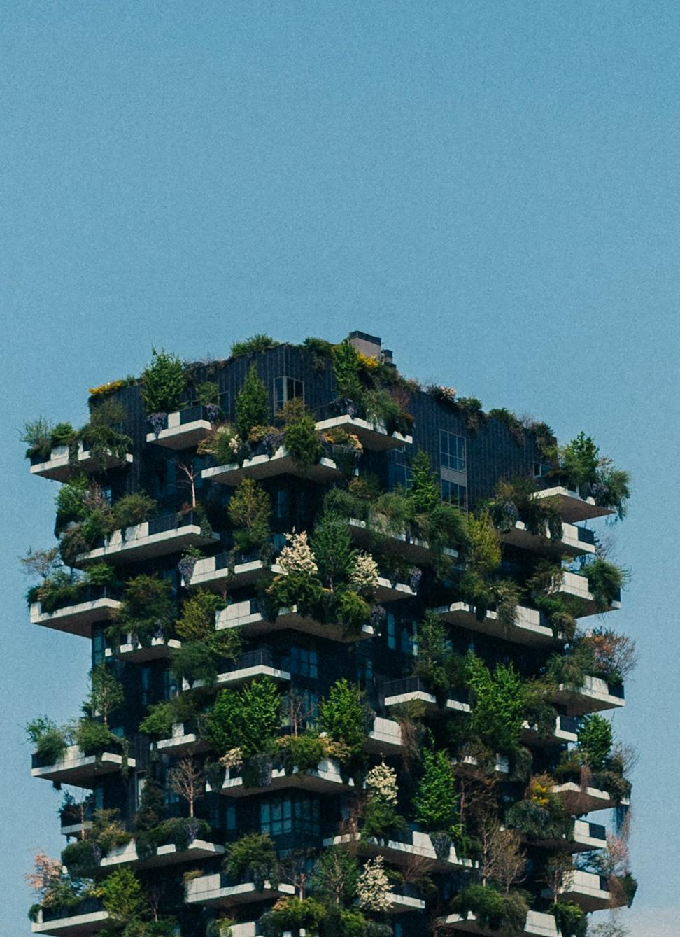EcoVista Homes